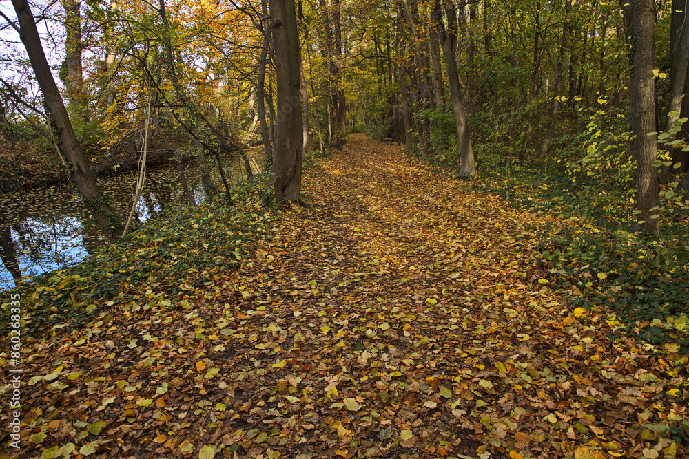 Autumn in castle garden in Pottendorf,Lower Austria,Austria,Europe
Autumn in castle garden in Pottendorf,Lower Austria,Austria,Europe