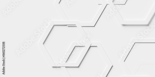 Obraz na plátne Modern minimal layered thin white honeycomb hexagon frames geometrical pattern b