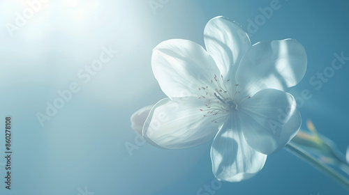spring background fresh flower on blue background : Generative AI