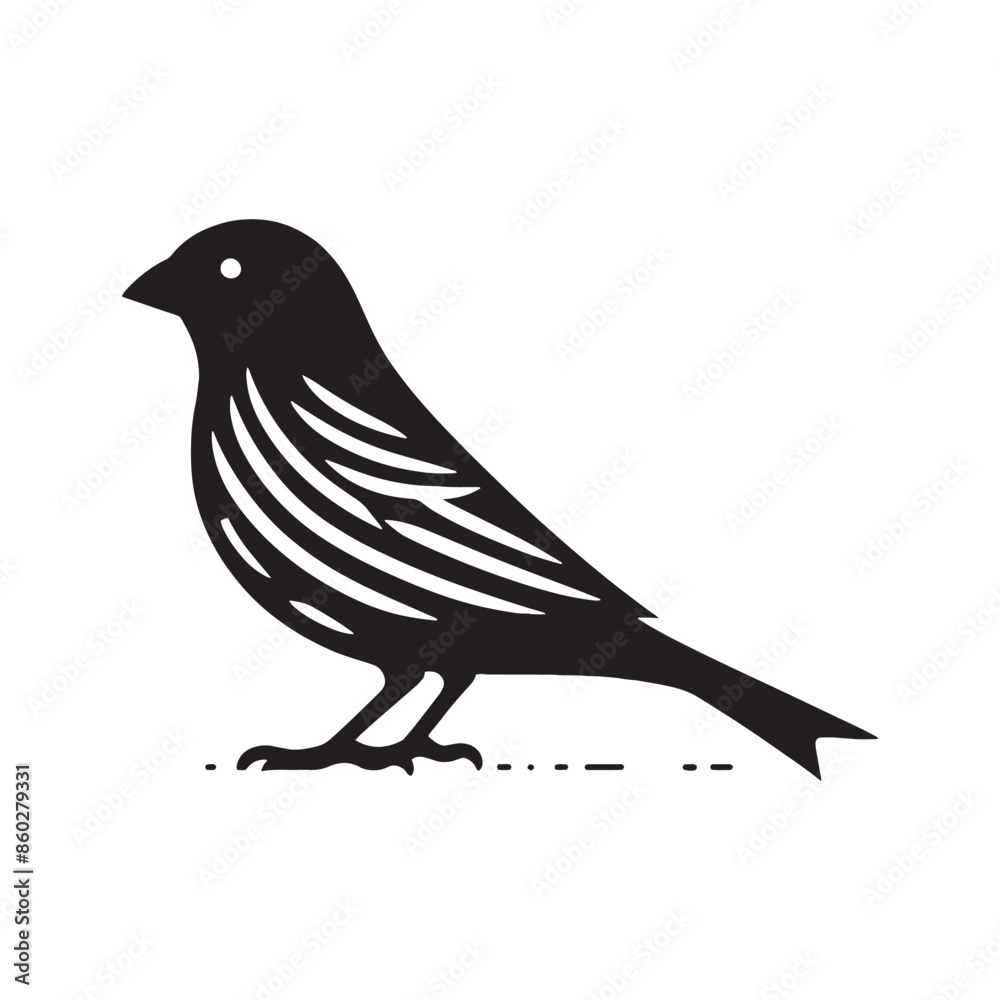 Obraz premium Versatile digital Canary silhouette - Canary black vector 