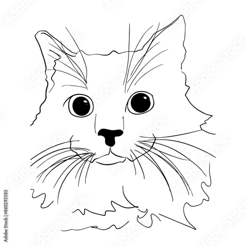 a cat with a mustache