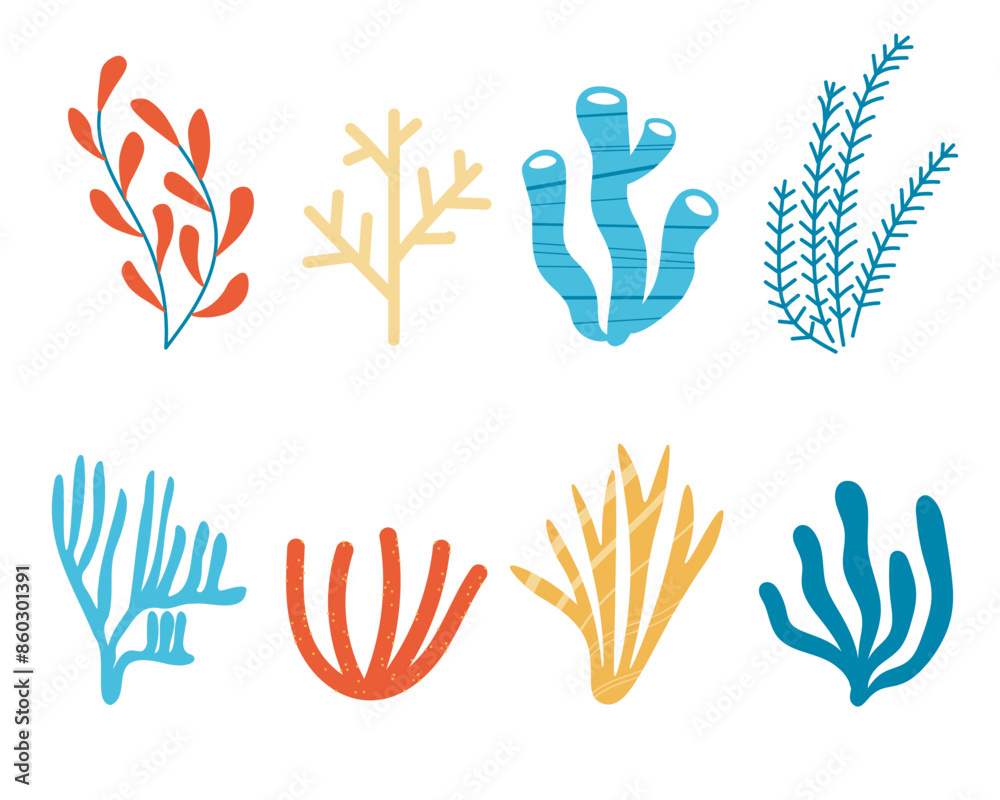 Obraz premium Set with different corals, algae and seaweed hand drawn vector illustration on isolated background, marine motif. Deep sea creatures, ocean flora, fauna, summer time. Underwater biodiversity