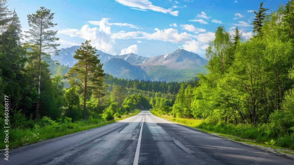 Scenic view of asphalt road leading through green forest and mountain backdrop Scenic view of asphalt road leading through green forest and mountain backdrop