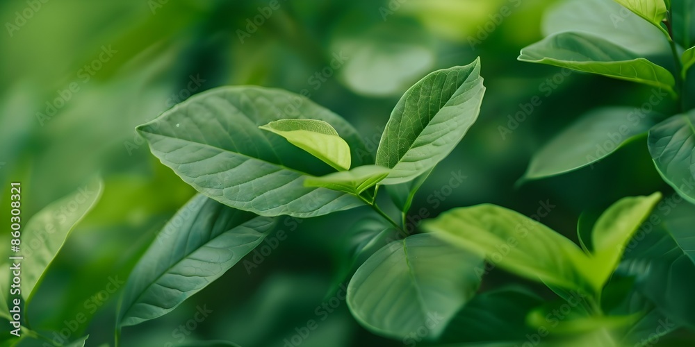 Capturing Nature's Dynamic Essence Realistic Green Leaves Moving Background. Concept Nature Photography, Dynamic Footage, Realistic View, Greenery Background, Moving Leaves Capturing Nature's Dynamic Essence Realistic Green Leaves Moving Background. Concept Nature Photography, Dynamic Footage, Realistic View, Greenery Background, Moving Leaves