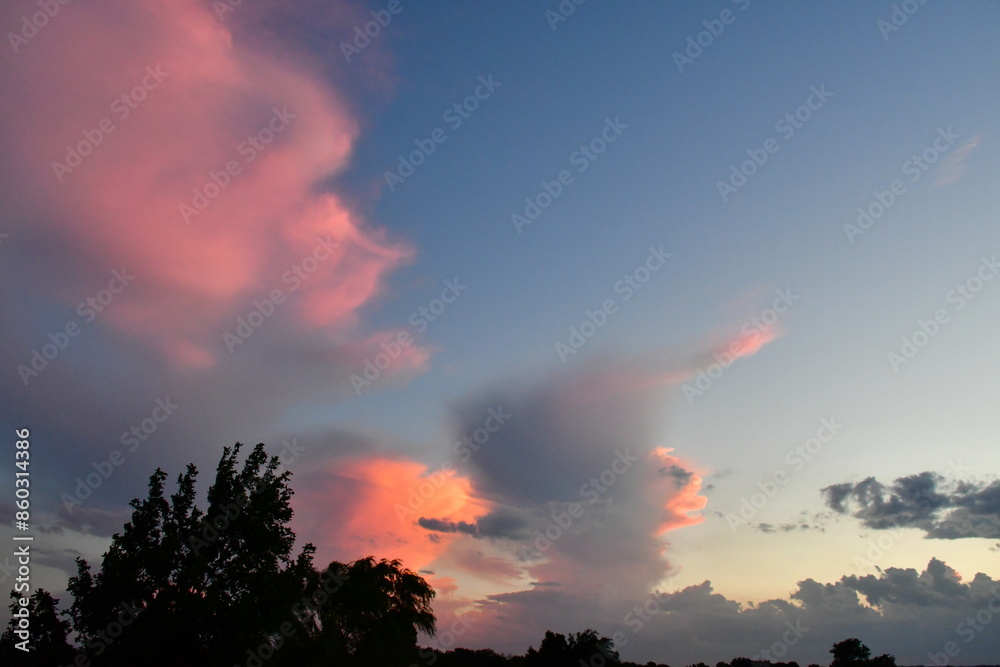 Fototapeta premium Pink Clouds in Blue Sky
