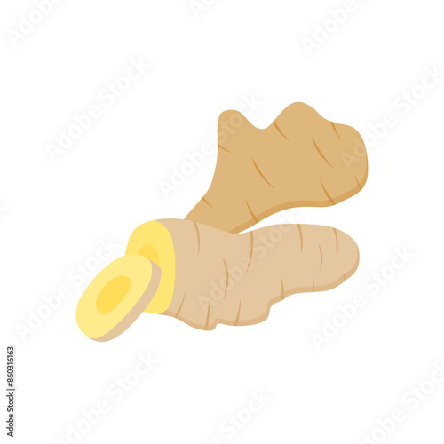 Ginger root rhizome herb flat design vector illustration isolated on white background. Healthy food icon Medicinal and edible plant ginger. Image for food spices and herbal packs design.
