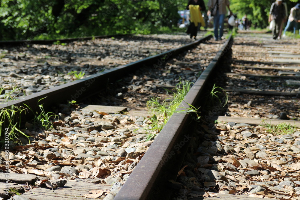 Naklejka premium Keage Incline (old train tracks) in Kyoto, Japan