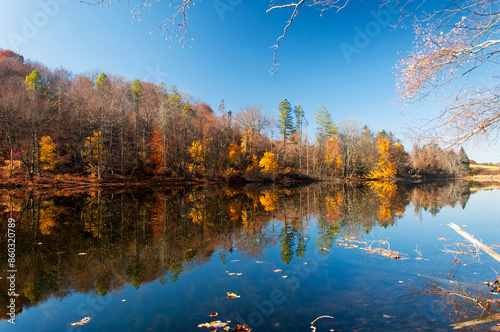 tarrywile state park autumn lake danbury Connecticut photo