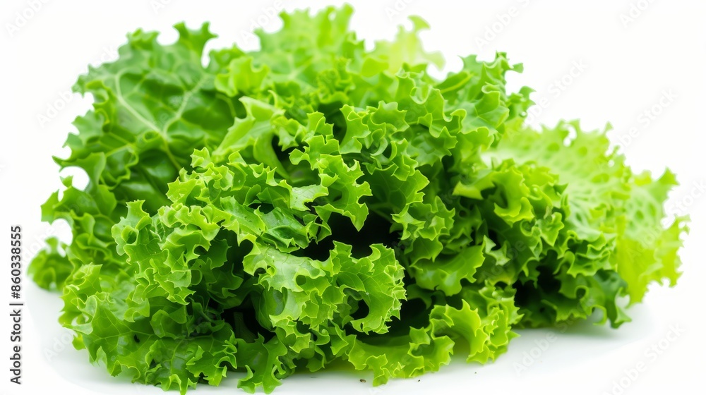 Vibrant green lettuce leaves isolated on white for culinary concepts. Vibrant green lettuce leaves isolated on white for culinary concepts.