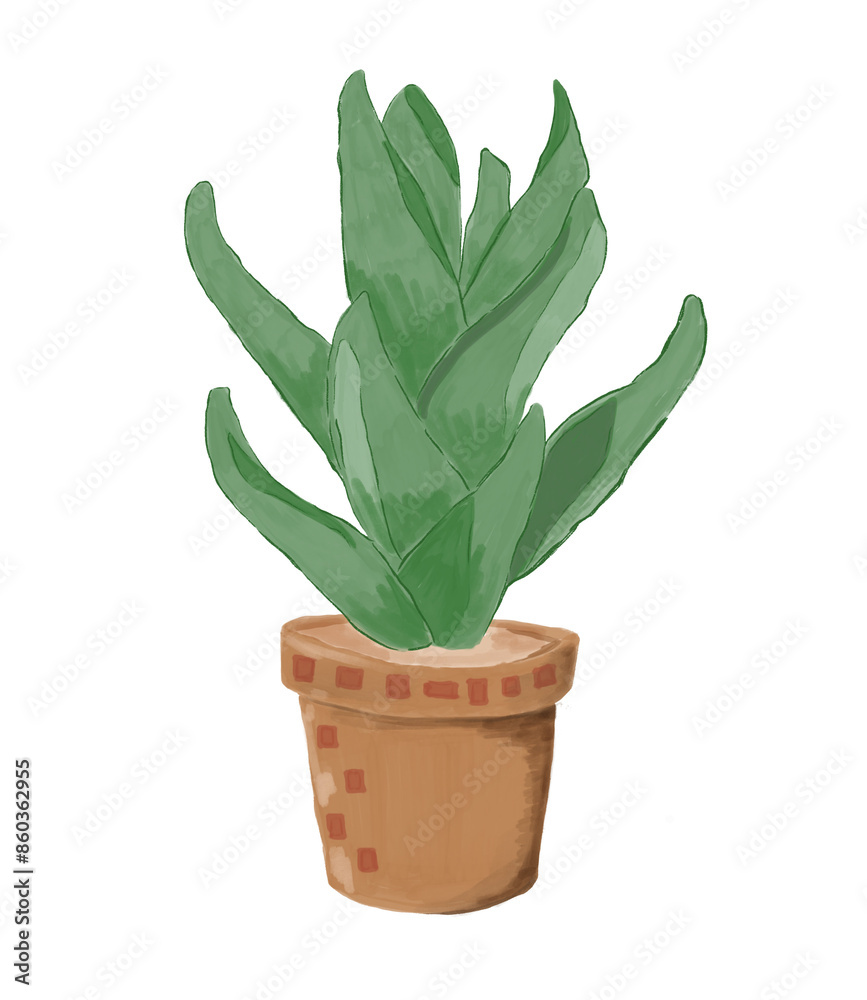 aloe vera plant aloe vera plant