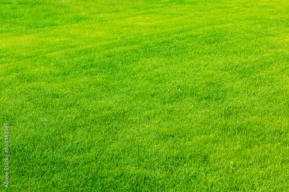 Beautiful view of front yard of private garden. Green grass lawn. Beautiful view of front yard of private garden. Green grass lawn.