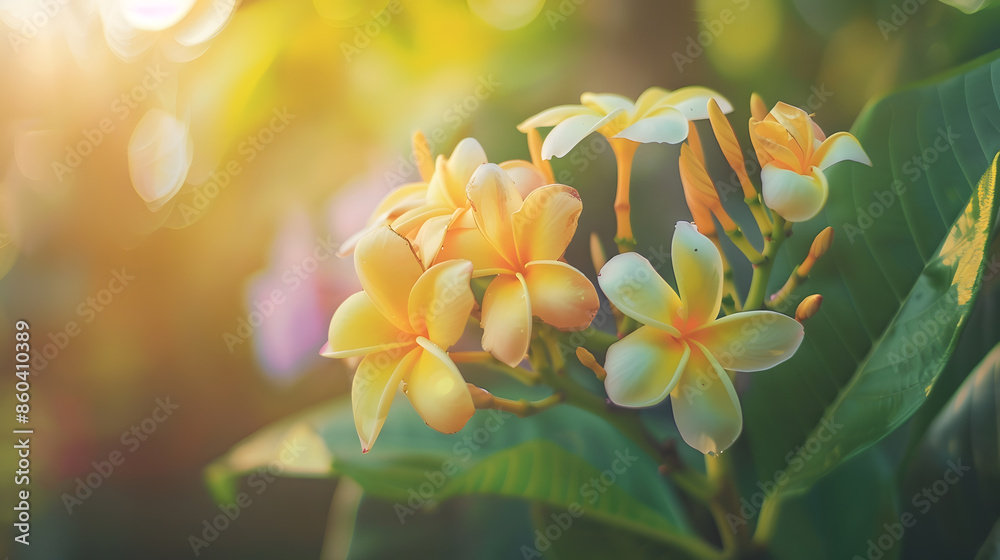 Plant flowers in the garden Selective focus nature : Generative AI Plant flowers in the garden Selective focus nature : Generative AI