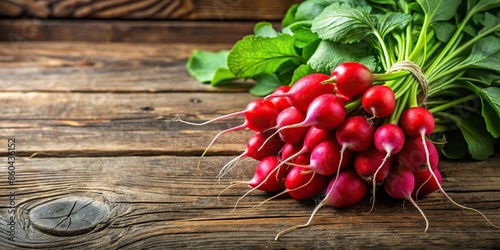 Freshly harvested bunch of radishes , Red, vegetables, garden, organic, healthy, food, root, nutrition, vibrant, natural, vegetarian photo
