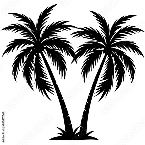 palm tree silhouette