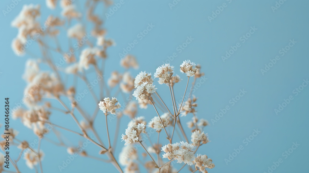 Beautiful spring flowers on a pastel blue background Romantic aesthetic natural concept : Generative AI Beautiful spring flowers on a pastel blue background Romantic aesthetic natural concept : Generative AI