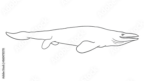 Vector Line art Mosaurus