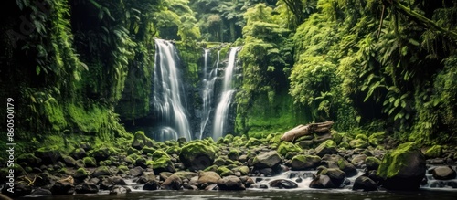 Waterfall In Lush Tropical Rainforest © gufron