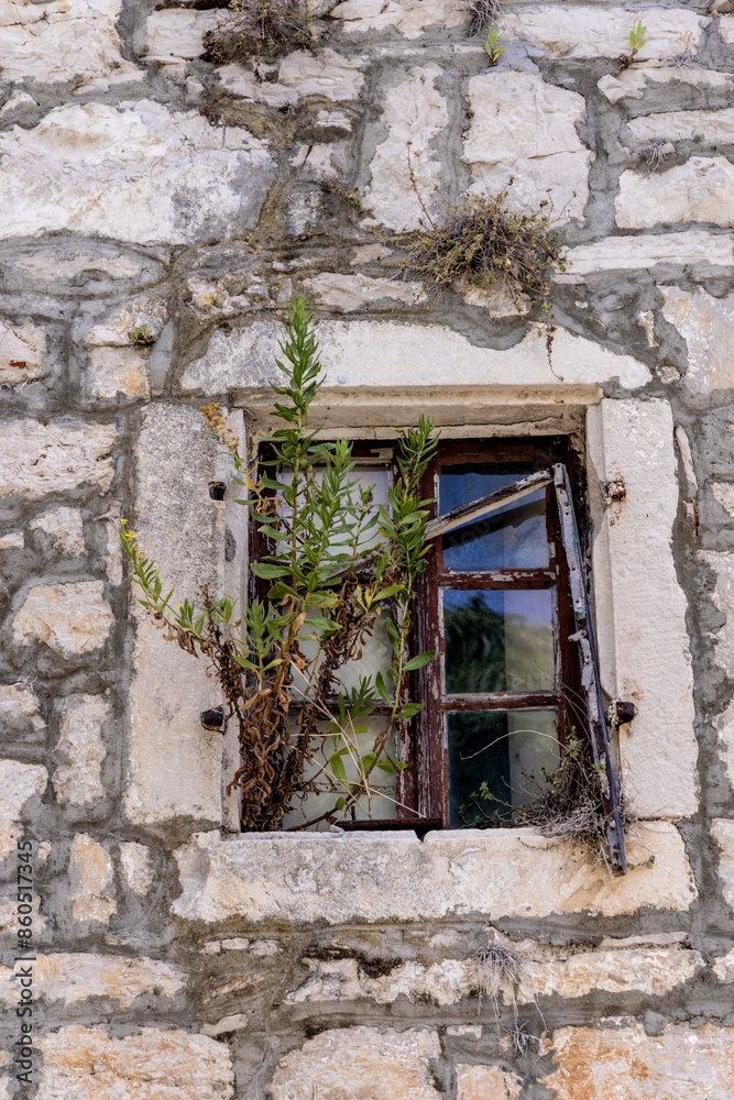 Strolling through the streets of the decaying village of Zirje on the island of the same name in Croatia