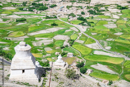 An aerial view captures Buddhist stupa surrounded by a vibrant green field, Stongdae Monastery, Zanskar photo