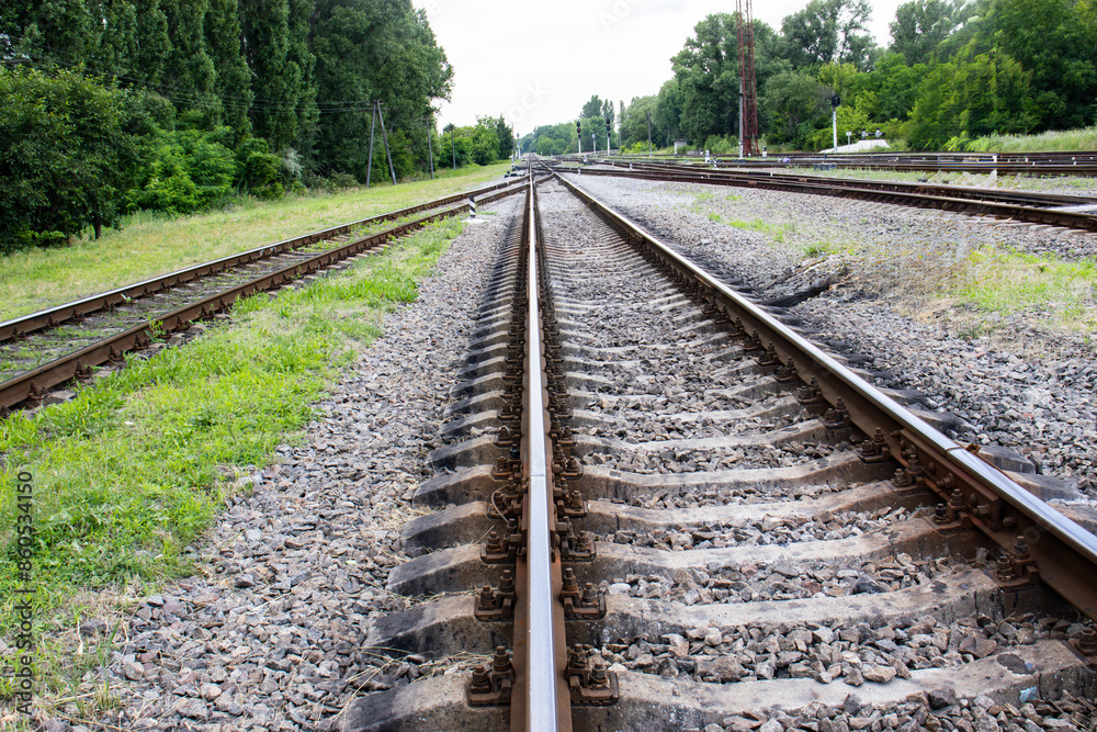 A Quiet Stretch of Railway Tracks Leading Through Lush Green Trees A Quiet Stretch of Railway Tracks Leading Through Lush Green Trees