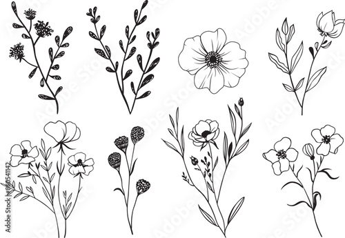 Set of hand drawn wildflowers. Black and white vector illustration.