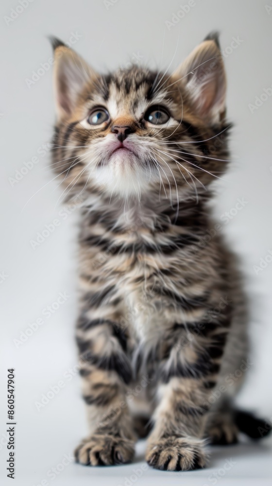 Fototapeta premium Adorable Kitten Posing on White Background, Perfect for Pet Lovers Generative AI