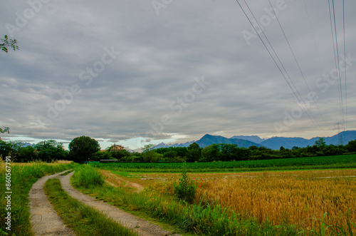 lungopiano sui campi piemontesi