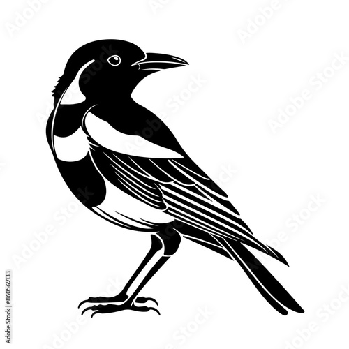 Black bird Vector Logo