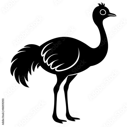 Emu bird vector silhouette  illustration and line art
