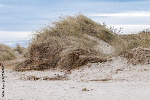 Dunes at the Island Texel, Slufter photo