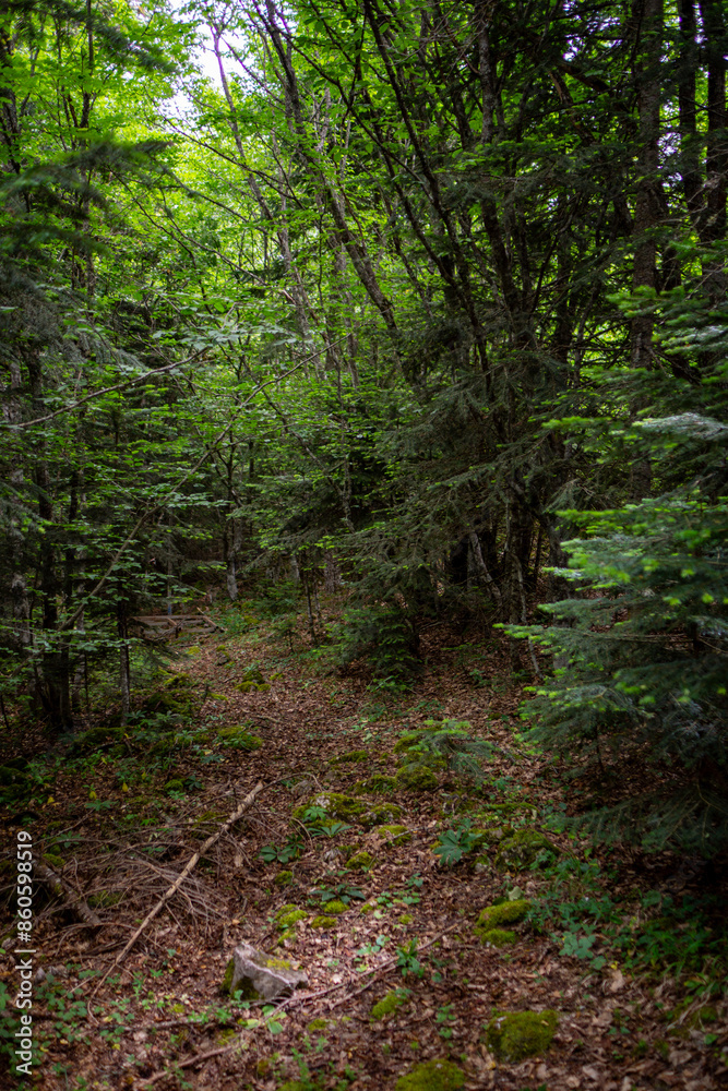 Fototapeta premium Horma Canyon in Kastamonu Turkey