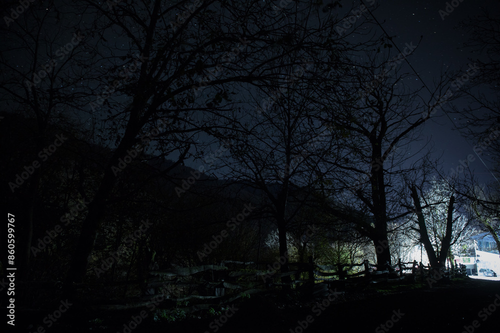 Old house with a Ghost in the forest at misty night or Night scene with House under moon. Old mystic building in dead tree forest. Old house with a Ghost in the forest at misty night or Night scene with House under moon. Old mystic building in dead tree forest.