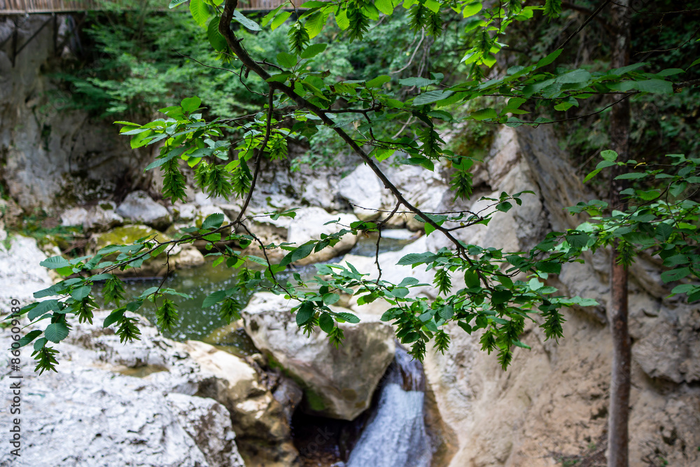 Horma Canyon in Kastamonu Turkey Horma Canyon in Kastamonu Turkey