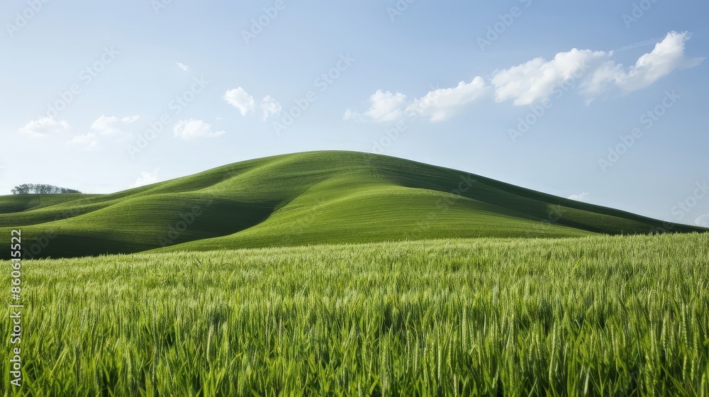 A serene landscape with rolling green hills under a blue sky with white clouds, perfect for nature, travel, and relaxation themes. A serene landscape with rolling green hills under a blue sky with white clouds, perfect for nature, travel, and relaxation themes.