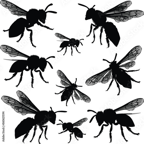 nine black wasp set on white background
