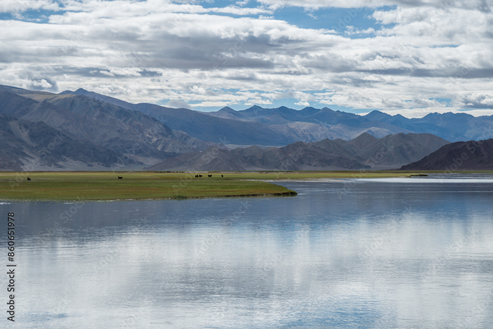 A river flows through a grassy field with distant mountains, Ladakh, Himalayas A river flows through a grassy field with distant mountains, Ladakh, Himalayas