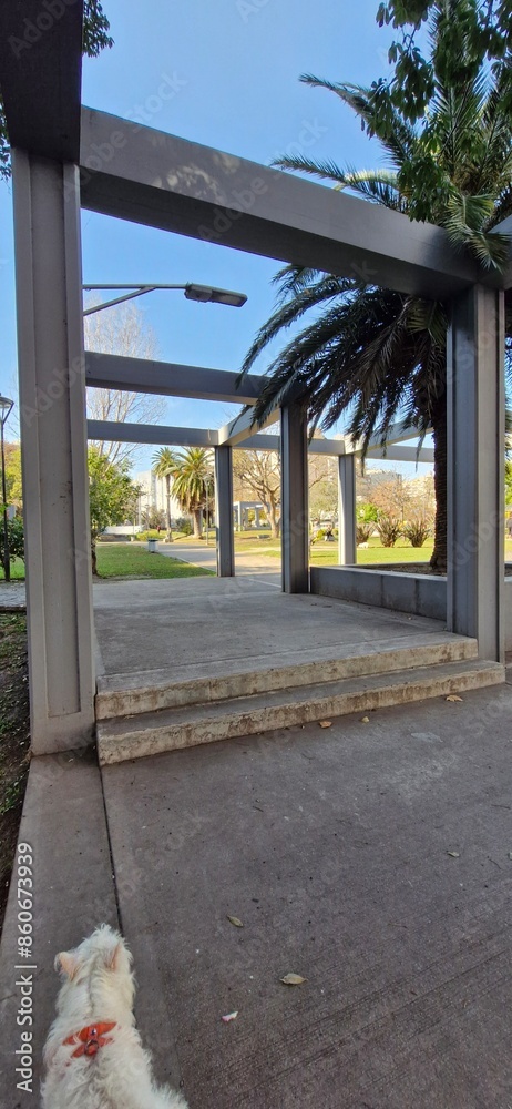 Naklejka premium En la plazita.