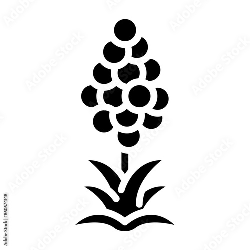 Vector Design Quinoa Quotient Icon Style