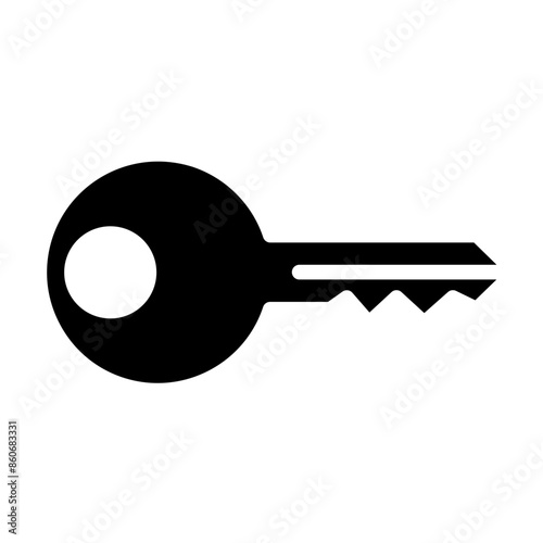 Vector Design Key Icon Style