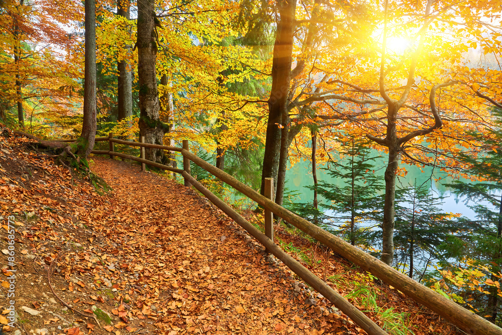 Collection of Beautiful Colorful Autumn Leaves Collection of Beautiful Colorful Autumn Leaves