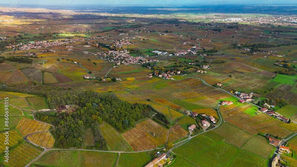 Aerial drone view of grape terraces in the south of France in autumn. High quality 4k footage Aerial drone view of grape terraces in the south of France in autumn. High quality 4k footage
