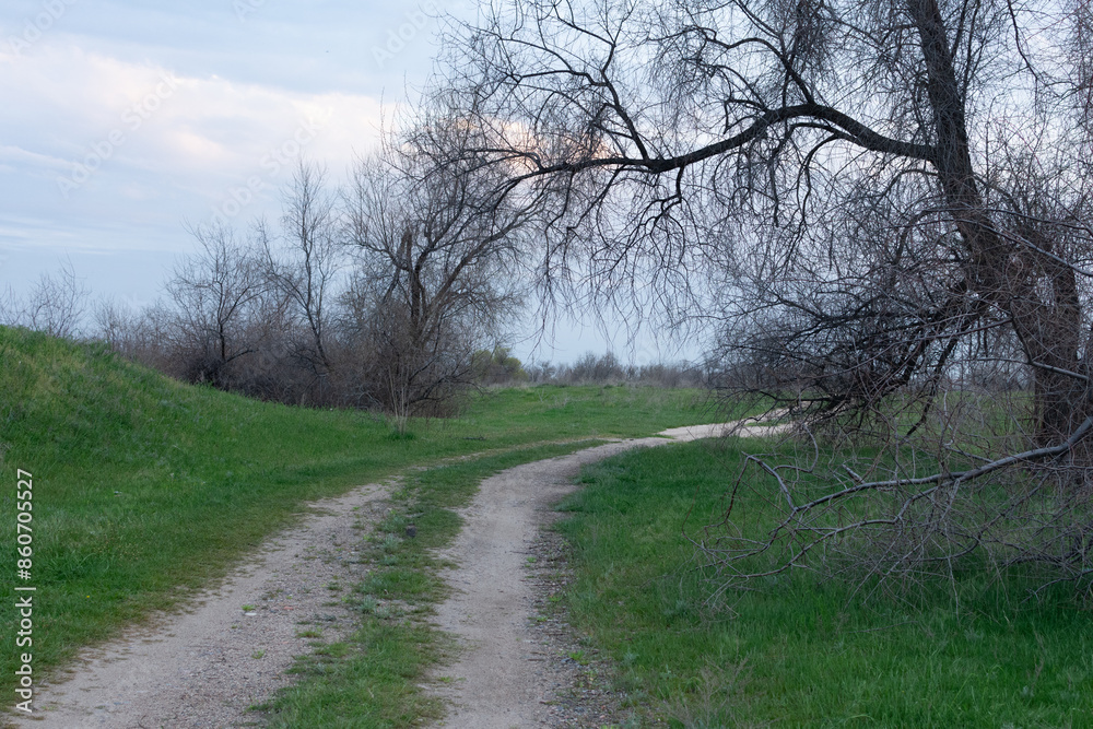 a path going into the distance in nature a path going into the distance in nature