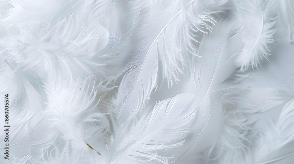 Fototapeta premium Bright white feather texture Overhead top view flat lay Copy space Birthday card Mothers Valentines Womens Wedding Day concept Selective focus : Generative AI