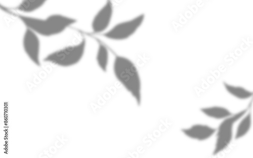 Transparent shadow of a tree branch, shadow overlay effects on a transparent background