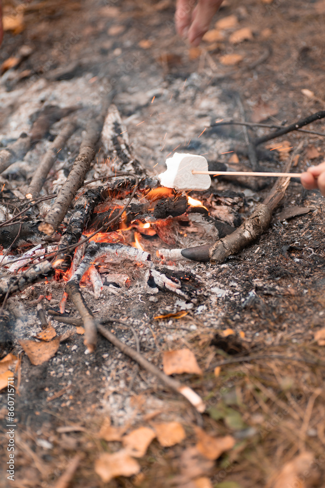 Close-up shot roasting marshmallows on fire on a wood fire in autumn picnic Close-up shot roasting marshmallows on fire on a wood fire in autumn picnic