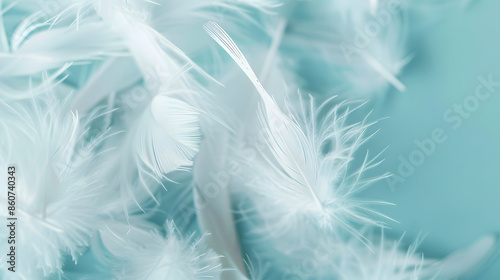 White fluffy feathers on pale teal blue background Fashion Color Trends Spring Summer 2016 soft focus : Generative AI
