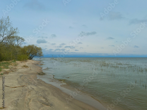 sandy shore of the Curonian Lagoon on the Curonian Spit
