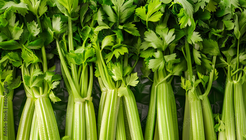 Obraz premium Many fresh green celery bunches as background, top view