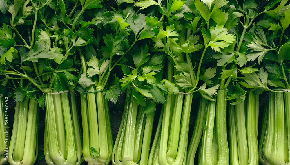 Obraz premium Many fresh green celery bunches as background, top view