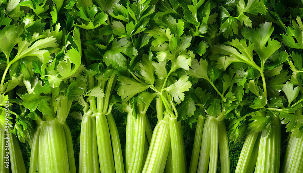 Fototapeta premium Many fresh green celery bunches as background, top view